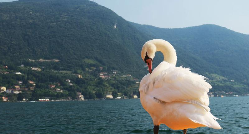 Hotel Sebino Sarnico Kültér fotó